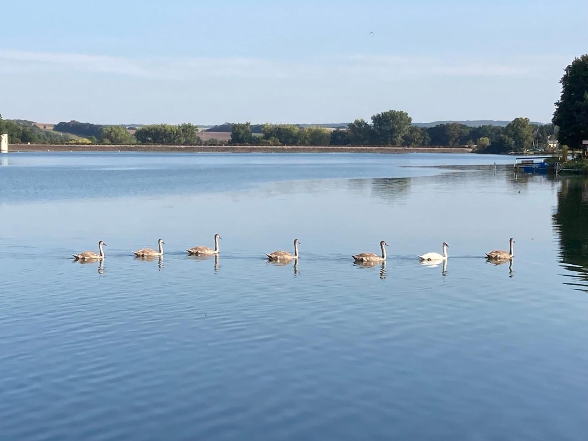 Campingfass Mit Panoramaterrasse Langenbernsdorf 외부 사진